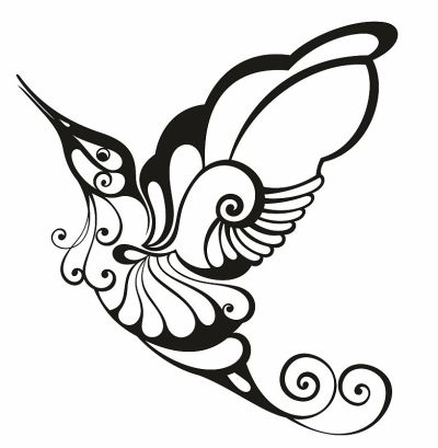 Colibri象征标志。矢量插图。