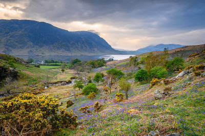 Rannerdale，还有Crummock Water和Mellbreak