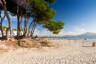海滩的Alcudia