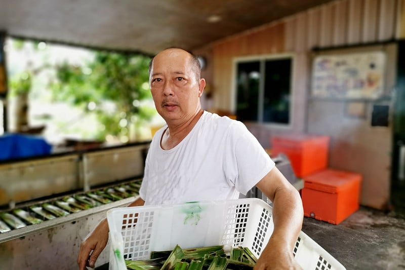 马来西亚的食物