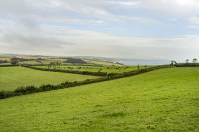 展望Slapton Sands和Start Bay