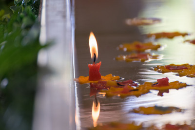 蜡烛花漂浮在水上
