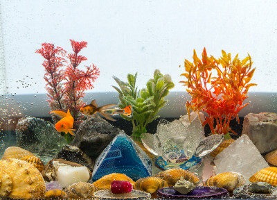与鱼水族馆