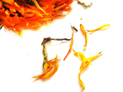 金盏花-金盏花干花橙黄色和花瓣
