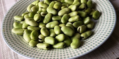绿色，新鲜的蚕豆