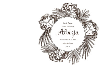 albicia树设计