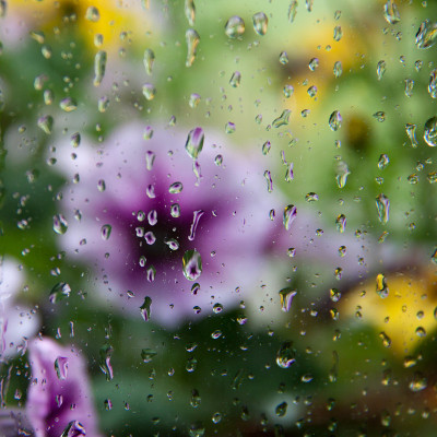 雨天