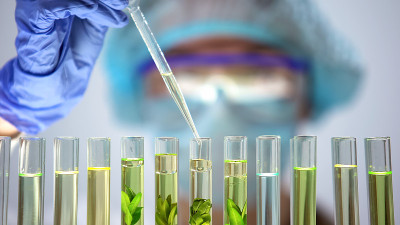 生物化学家用植物浇灌油质液体，进行防腐剂研究
