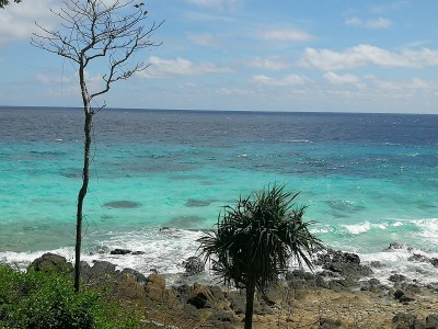 蓝色的大海