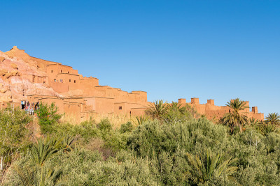 在摩洛哥有植物和棕榈树的Ait Benhaddou