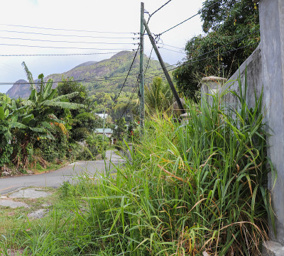 塞舌尔的马埃岛