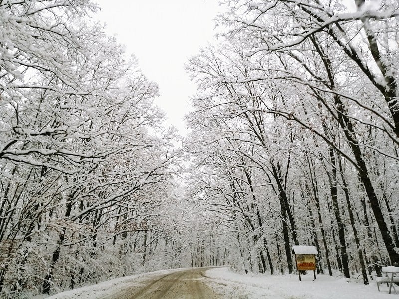 雪在罗马尼亚