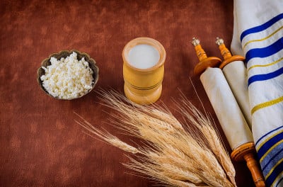 犹太食品，新鲜乳制品，牛奶，干酪，小麦