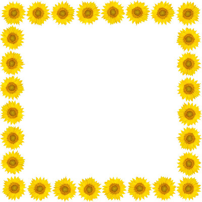 向日葵花架
