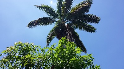 首页