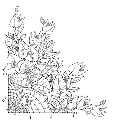 矢量角花束的轮廓三角梅或布干维拉花束与叶和芽在黑色孤立在白色的背景。