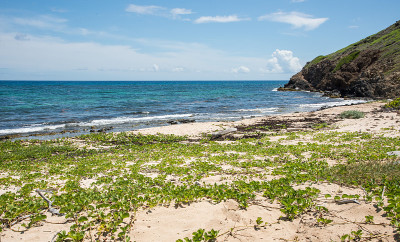 杰克湾海岸