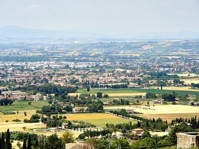 Asisi