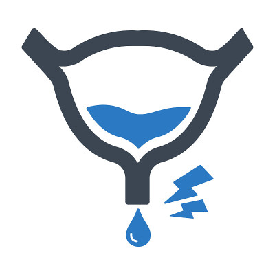 Bladder flat vector icon