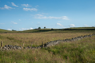 在法国的乡村风景与干燥的石头墙，aubrac,Lozere，法国。