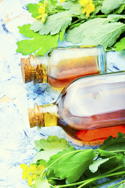 白屈菜、草药酊剂。