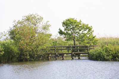 福岛的泻湖