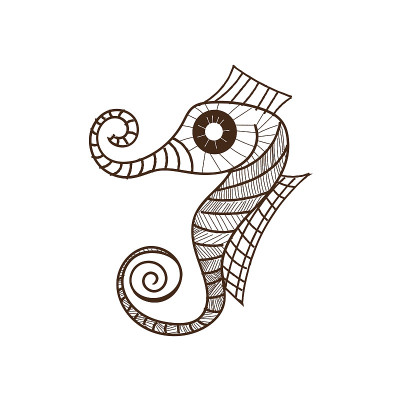 Seahorse Drawing Illustration