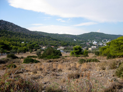 埃伊纳岛全景