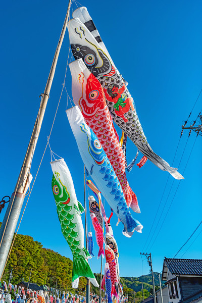 鲤鱼飘带