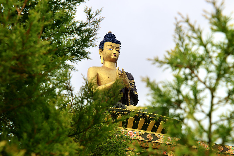 Buddha Park of Ravangla. Statue of Lord Buddha at 