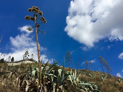 莱卡贝图斯山