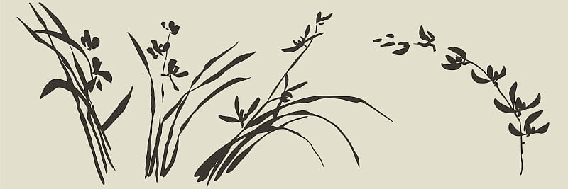 破旧的手绘野生兰花花集