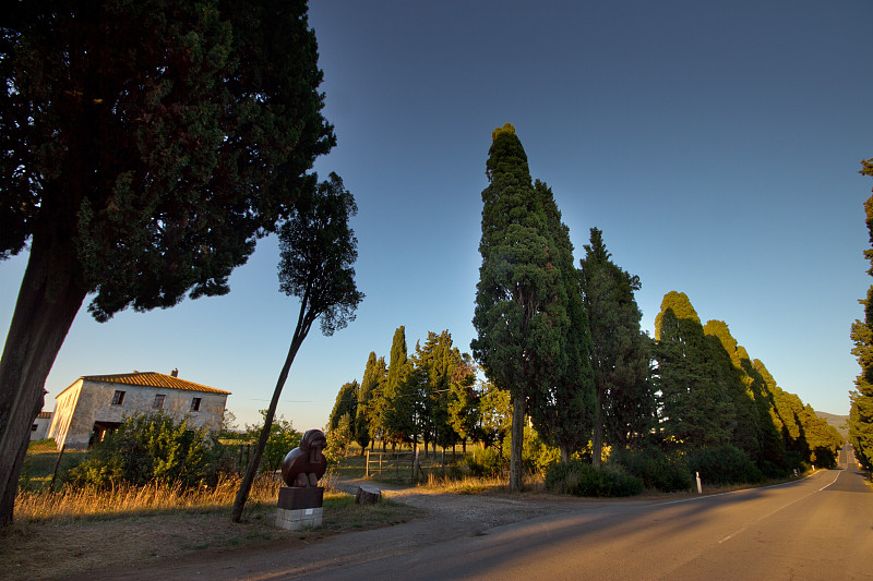 意大利，托斯卡纳，Castagneto Carducci, Bolgheri，路和柏树