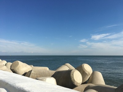 海洋和四足动物