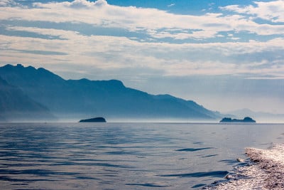 雾浪