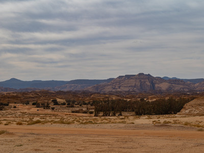 沙特阿拉伯Al Ula附近的Mada'in Saleh (Al- hijr & Hegra)考古遗址