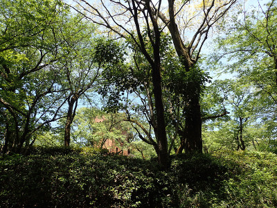 Noyamakita-Rokudoyama公园- Musashimurayama,东京