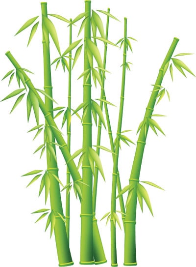 向量竹