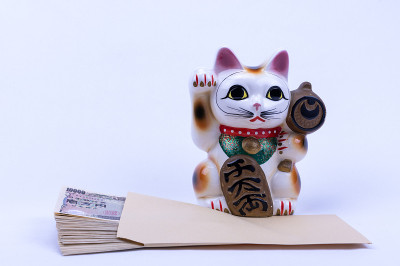 一只吸引人的猫和金钱来创造幸福。