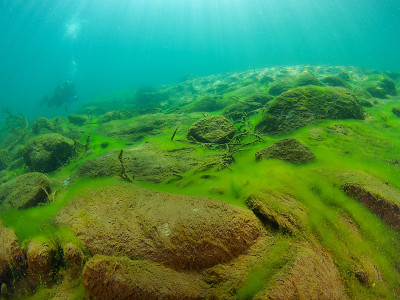 underwater-landscape