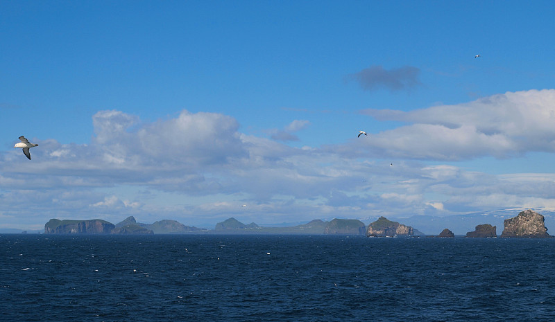 Vestmannaeyjar(韦斯特曼岛屿),冰岛