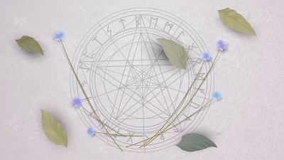 女巫五角星和干花