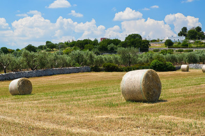 Haystack。Locorotondo。普利亚。意大利。