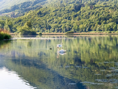 湖钢琴在Val Menaggio