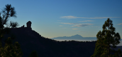 松树间的全景，大加那利岛的顶峰