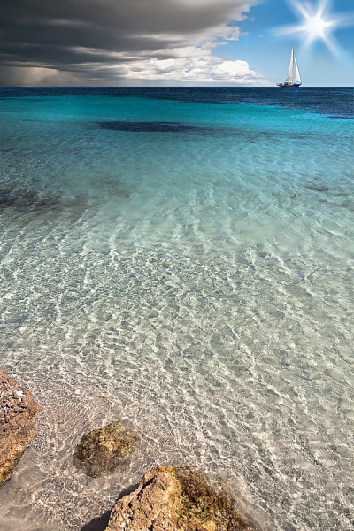 海岸附近海上的帆船(组成)