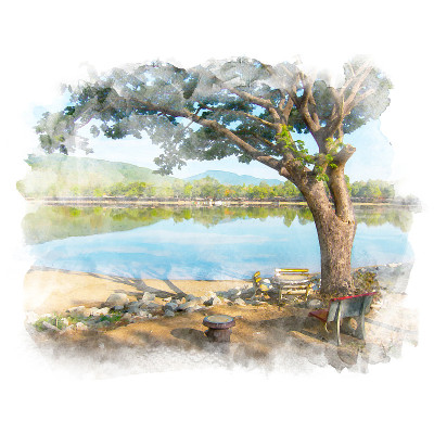 大树和湖。