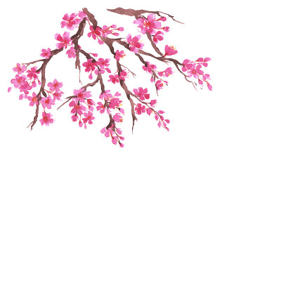 樱花枝。