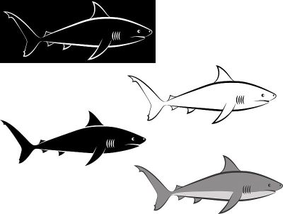 shark