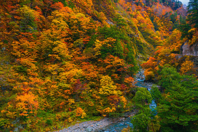 秋色在黑袍峡谷富山